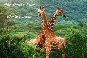 Design ohne Titel (25)