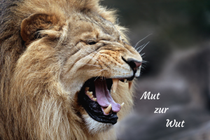 Mut zur Wut (4)